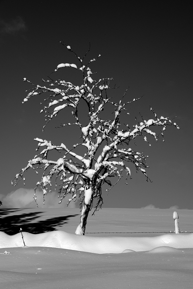 Lire la suite à propos de l’article Paysage