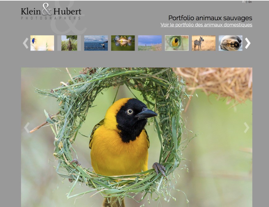 Jean Louis Marie Luce